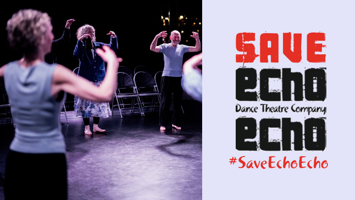 SaveEchoEcho5