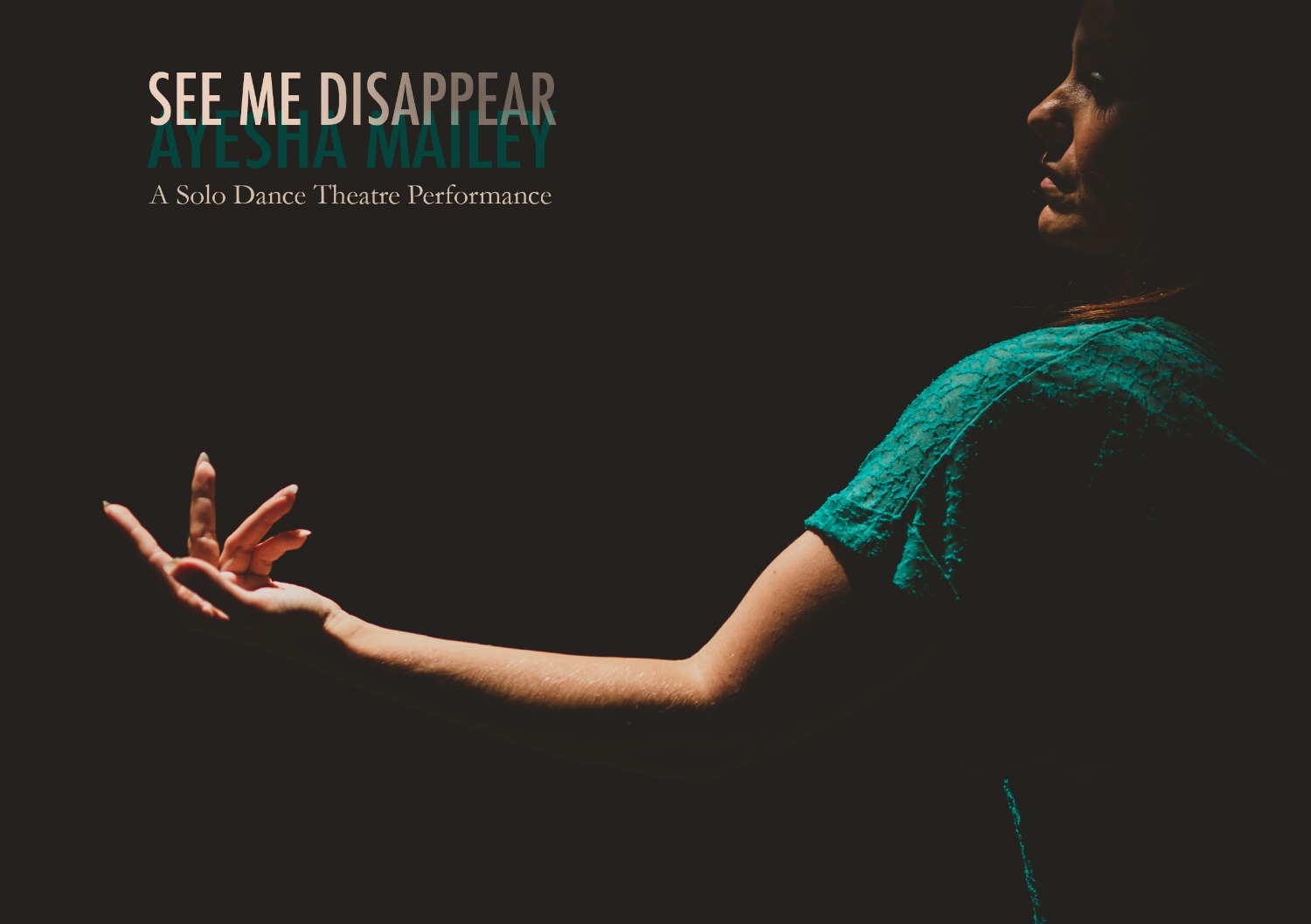 See Me Disappear image